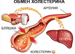 Убийца, который отнимет жизнь у каждого второго