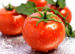Самые плодовитые сорта помидоров