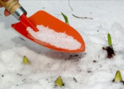 Какие удобрения можно внести по снегу