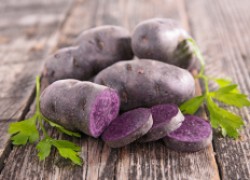 Фиолетовые и красные сорта картофеля