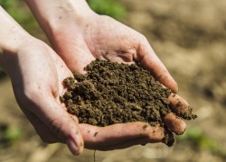 Почему почва стала пылью
