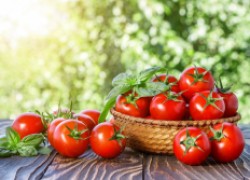 СЕМЬ шагов к успеху при выращивании помидоров