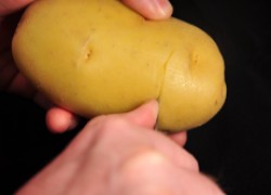 Урожайное кольцо: бороздование картофеля