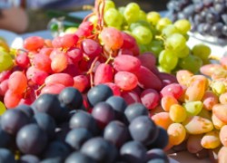 Лучшие сорта винограда народной селекции