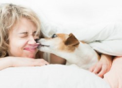 О чем расскажут собачьи «поцелуи»