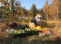 Живу в Якутии, выращиваю тыквы