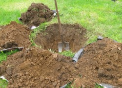 Нужно ли «заправлять» посадочную яму