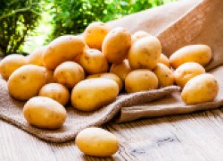 Как вырастить суперурожай картофеля
