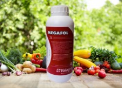 Мегафол – новый антидепрессант для растений