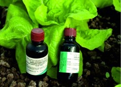Лекарства для растений из человеческой аптеки