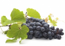 ТОП-10 полезных для здоровья сортов винограда 
