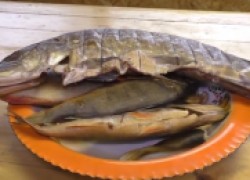 Рыба горячего копчения в коптильне из бочки 