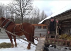 Антон Гнетько: купил хутор в лесу на краю болота 