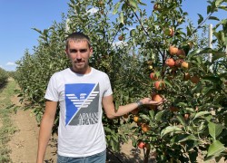  Денис Тарелкин: пока у других кризис, за яблоками с наших садов выстраиваются очереди 