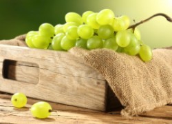 Хранение винограда в бутылке 
