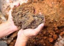 Порода для огорода: о пользе глины в почве 