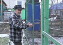 Пенсионер из Котово организовал домашнюю птичью ферму 