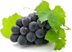Тест на стойкость винограда 