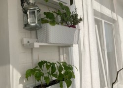 Полочка-решетка для комнатных растений 