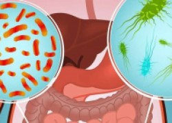Кишечные инфекции: что важно знать 