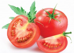 Жизнь помидора: от семечки до сбора урожая 