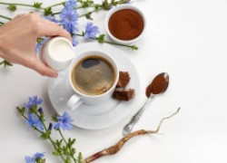 Цикорий и кофе заменит, и здоровье поправит 