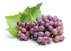 Кальций для винограда – еще крепче, калий – для качества 
