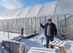 Сергей ЗУБЦОВ:  Ягоду выгодней выращивать в закрытом грунте 