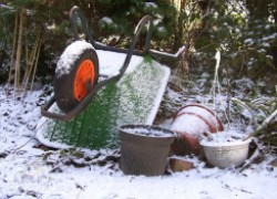Для чего нужен снег в саду и стоит ли его закидывать в теплицу 