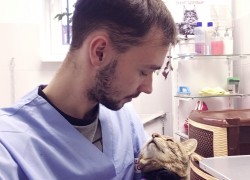Инфекционный перитонит кошек - это не приговор! 5 главных вопросов ветеринарному врачу 