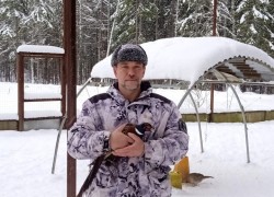 Алексей Зорин: Выращиваю выпускного летного фазана на дичеферме 