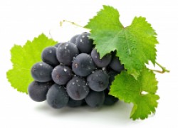 Наивкуснейшие сорта винограда 