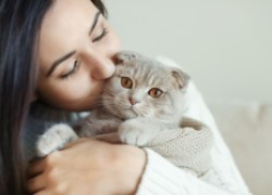 Готовьтесь лечить токсоплазмоз, если любите целоваться с кошками 