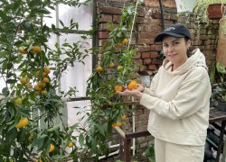 Папайя, бананы, манго, мандарины и лимоны растут на берегу Дона в городе Константиновске 
