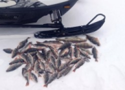 История одной февральской рыбалки 