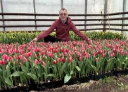 Константин Ульяшин: Цветочный бизнес растет на любви и вложениях 