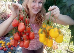 Мария Рожкова: Вместо карьерной лестницы выращиваю коллекционные сорта овощей 