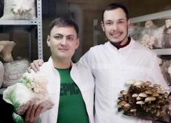 Дамир Тухватуллин: Буду стремиться раскрыть целебный потенциал грибов 