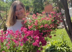 Немезия – очаровательный цветок для вашего сада 