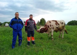 Александр Васильев: Совмещать уход за коровами и основную работу – можно! 