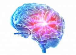 Грозные симптомы опухоли головного мозга 