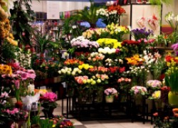 Как создать бизнес на выращивании цветов