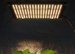 Светильники Quantum Board для выращивания растений