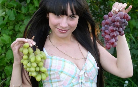 Болезни винограда с описаниями и фотографиями
