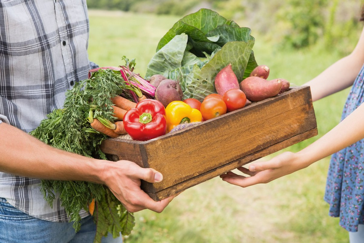 Купить дом в овощах. Фермерские овощи. Фермерские овощи и фрукты. Продукты сельского хозяйства. Свежие продукты.